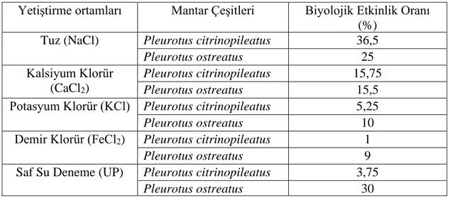 Tablo  4.3.  Pleurotus  ostreatus  ve  Pleurotus  citrinopileatus  aşılı  yetiştirme  ortamlarının 