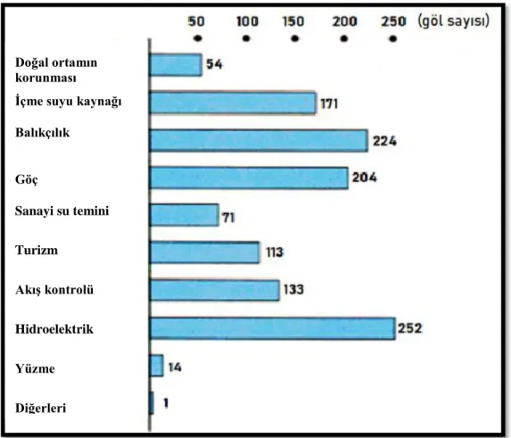 Grafik 1.1. Göl Suyu Kullanımı 