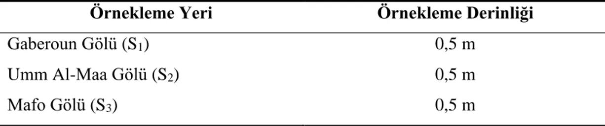 Tablo 2.1. Örnekleme alanları ve derinlikleri 