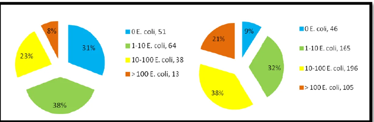 Grafik 3.3.  Örnek sayısı ile mikrobiyal su kalitesi (CFU / 100 ml numune): (solda) toplama  noktası (n = 166); (sağda) ev (n = 512) 