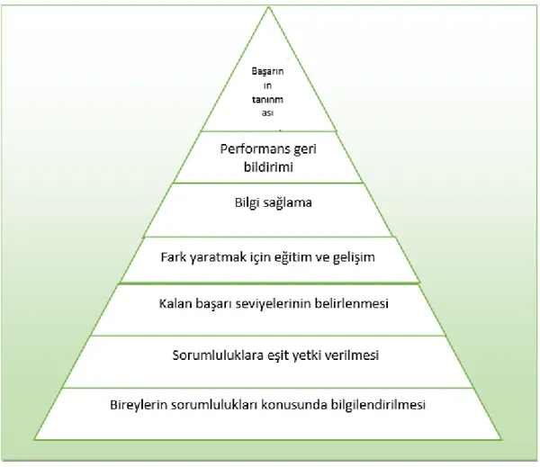 Şekil 3.5 Diana Tracy modeli (Jumaili, 2008)  