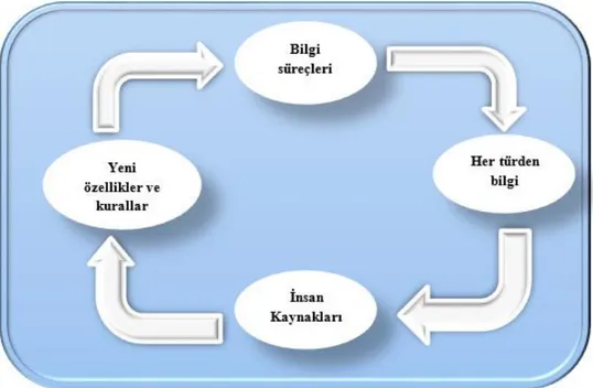 Şekil 2.4 Bilgi ekonomisi sisteminin bileşenleri 