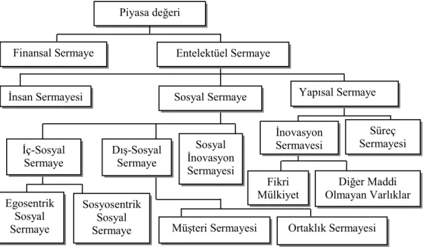 Şekil 2.2.  McElroy’un Düzenlenmiş Entelektüel Sermaye Haritası   