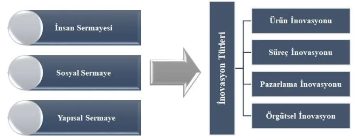 Şekil 3.1. Araştırma Modeli 