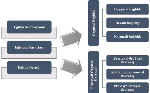 Şekil 3.1. Araştırma Modeli 