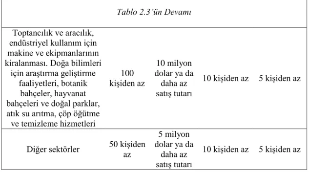 Tablo 2.3’ün Devamı 