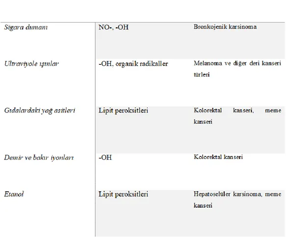 Tablo 1.1. Kanserogenezde rol alan oksidatif stresin başlıca eksojen nedenleri 