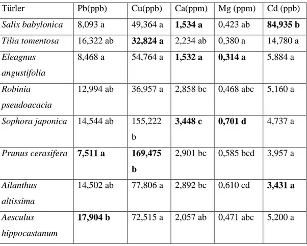 Tablo 3.2. Tür bazında Pb, Cu, Ca, Mg ve Cd bakımından Duncan testi sonuçları 