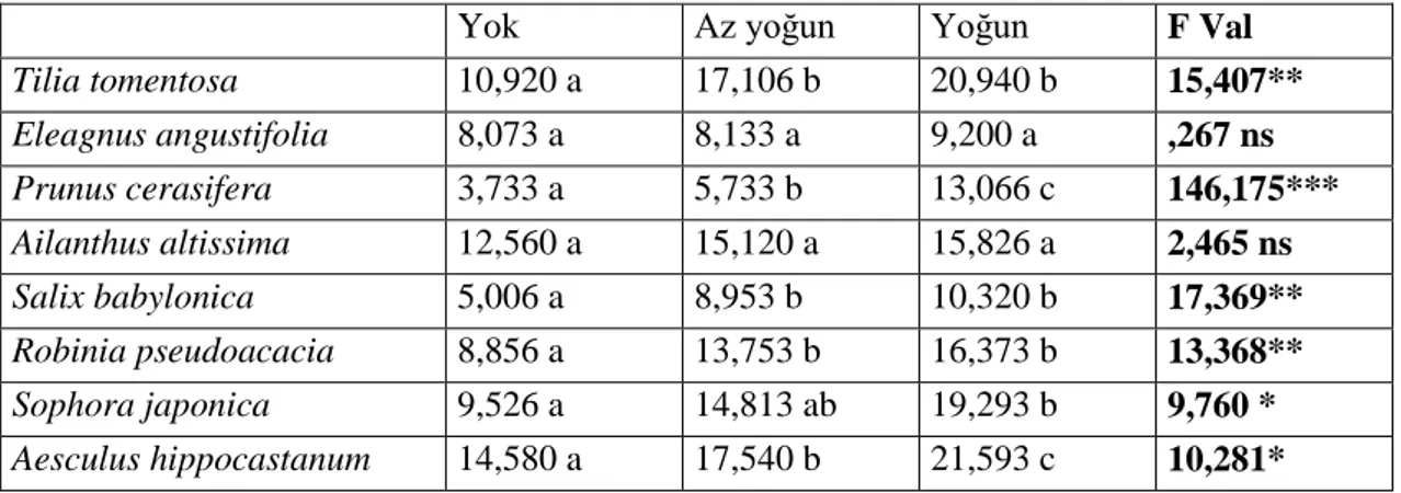 Tablo 3.7. Pb Konsantrasyonunun Tür Bazında Trafik Yoğunluğuna Bağlı Değişimi  