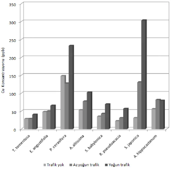 Grafik 3.4. Cu Konsantrasyonunun Tür Bazında Trafik Yoğunluğuna Bağlı Değişimi 