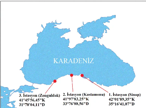 Şekil 3.1. Örnekleme istasyonları 