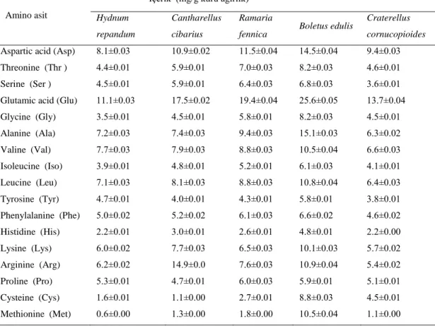Tablo  4.2.  Amino  Asit  İçeriği  (Boletus  edulis,  Hydnum  repandum,  Cantharellus 