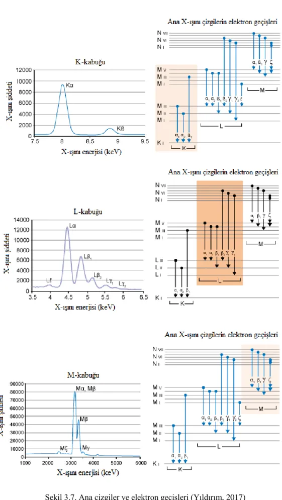 Şekil 3.7. Ana çizgiler ve elektron geçişleri (Yıldırım, 2017)
