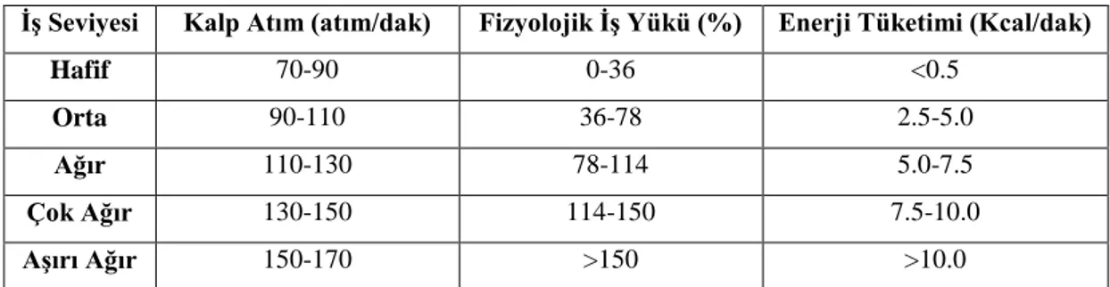 Tablo 3.5. İş yükü seviyeleri  