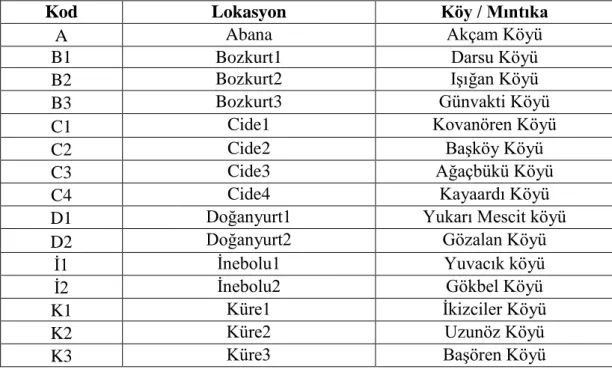 Tablo 3.1.  Kodlamalar ve karşılıkları olan lokasyon ve köy/mıntıkalar. 