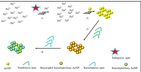 Şekil 1.1. Basit Au III  Kimyasal İndirgenme ile Üretim 