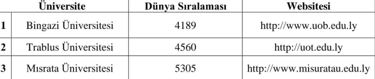 Tablo 3.1. Üniversite Detayları 