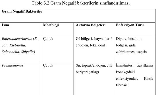 Tablo 3.2.Gram Negatif bakterilerin sınıflandırılması  Gram Negatif Bakteriler 