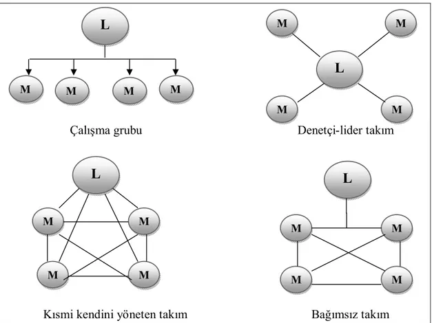 Şekil 2.1. Liderin Farklı Takım Türlerindeki Rolü 