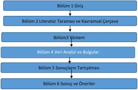 Şekil 1.2: Tez Planı 