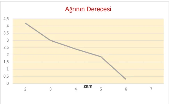 Şekil 4.1. Günlük ağrı derecesini göstermektedir 