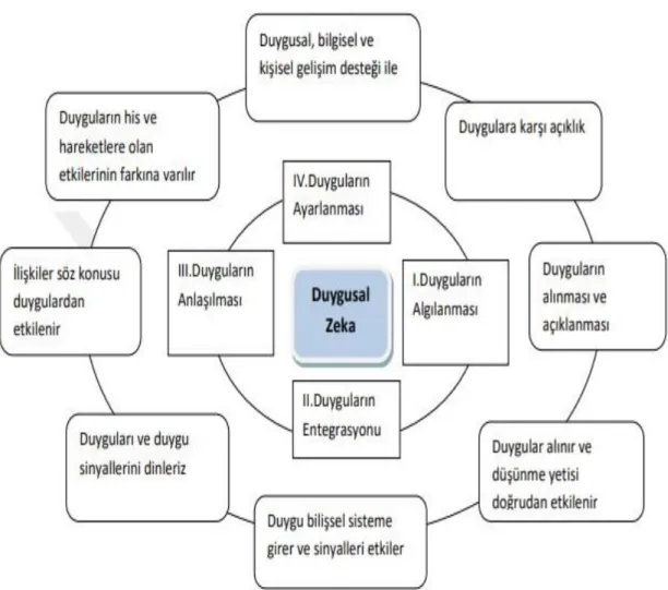 Şekil 2.3. Duygusal zekâ döngüsü (Ulusu, 2019) 