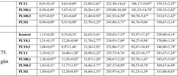 Tablo 4.2. Devamı  PLY1 0,91±0,14 b 9,63±0,69 a 23,80±2,01 b 222,30±14,61 c 106,17±10,07 a 339,33±2,35 d PLM0,1 0,58±0,09 c 5,87±0,12 c 20,26±1,01 c 259,00±26,88 a 101,53±14,74 b 358,33±3,02 b PLM0,5 0,97±0,02 a 7,83±0,60 b 23,40±0,92 b 241,93±6,58 b 80,70