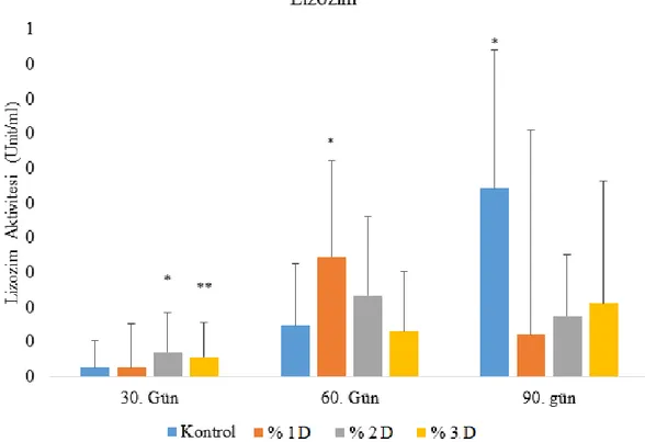 Grafik 4.3. Damarlıca sulu methanolik özütü ile 90 gün boyunca beslenen gökkuşağı                   alabalıklarının  lizozim  aktivitelerinde  meydan  gelen  değişimler    (U/ml)