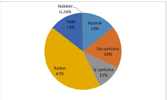 Grafik 1.1. Bireylerin aldığı yıllık etkin dozun radyoaktif kaynaklara göre dağılımı   