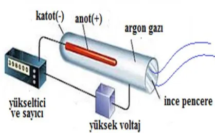 ġekil 2.9. G-M tüpünün çalıĢma prensibi 