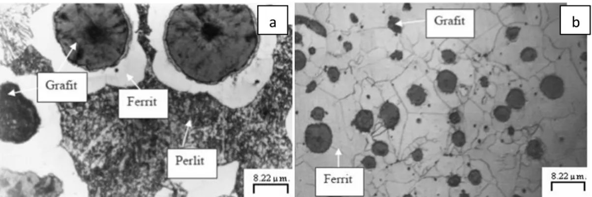 Şekil 1.4. KGDD’in mikro yapı fotoğrafları a) Perlit + ferrit, b)Tamamen ferrit  (Kuş, 2007) 