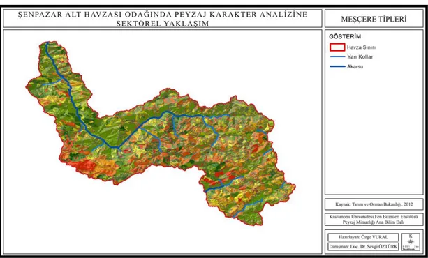 Şekil 3.11.  Tarım ve Orman Bakanlığı Orman Genel Müdürlüğü, Orman Amenajmanı Planı  verilerinden elde edilen meşcere haritası (Vural, 2019) 
