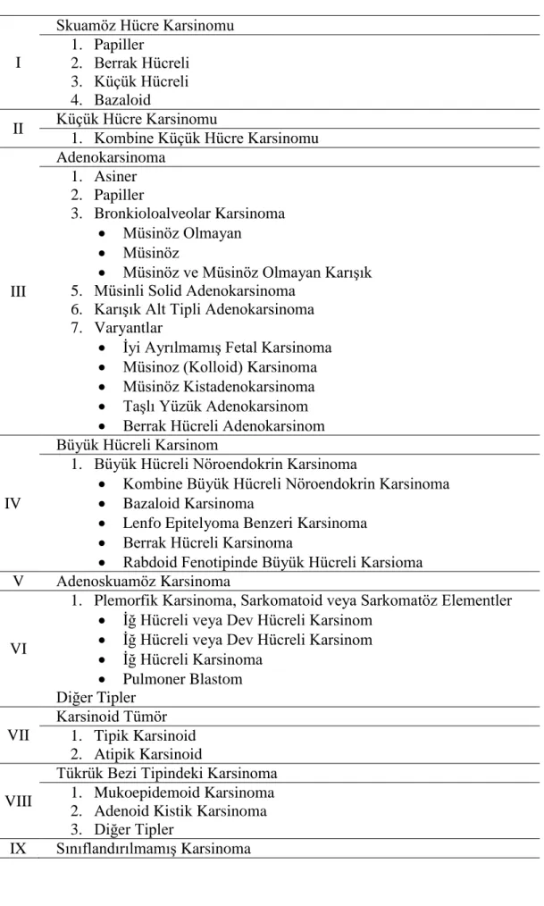 Tablo 1.3. Malignant akciğer tümorlerinde histolojik sınıflandırma (DSO 2004). 