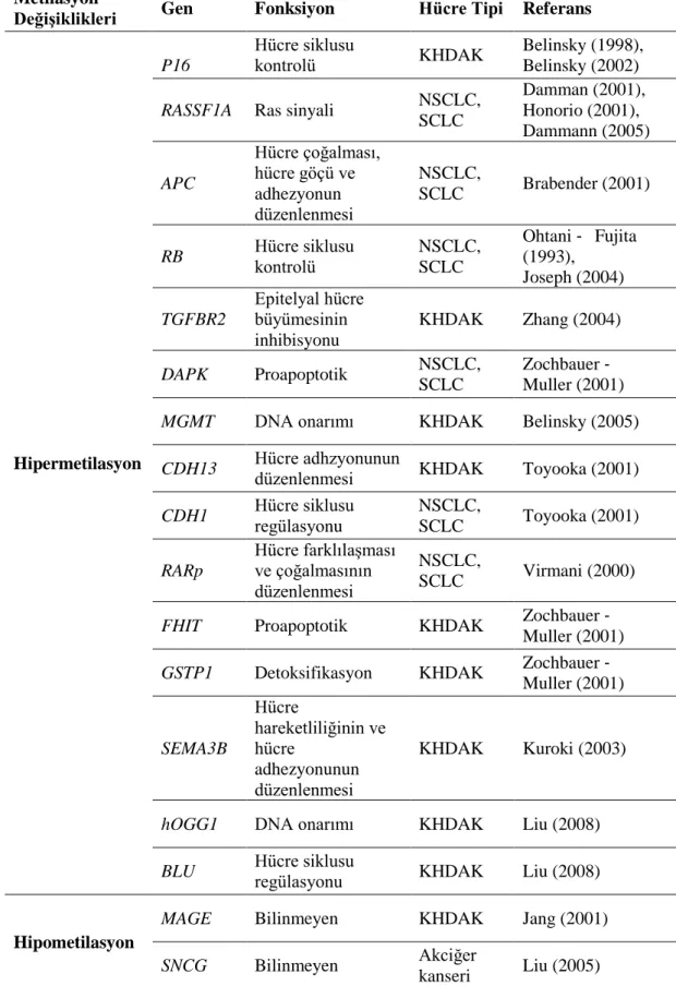 Tablo  1.6.  Birkaç  anahtar  genin  DNA  metilasyon  değişiklikleri  ve  akciğer  kanserindeki  rolleri (Lu ve Zhang, 2011)