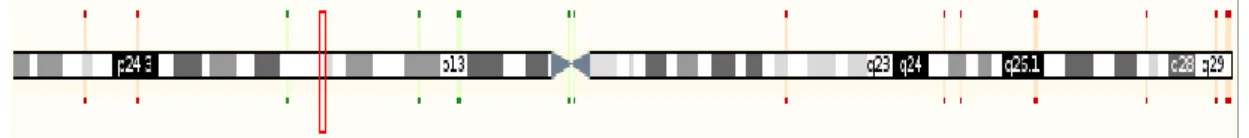 Şekil 1.5. RASSF1A geninin 3p21.3’deki lokalizasyonu (URL-6) 