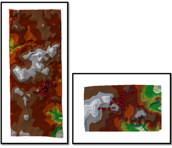 ġekil 2.9. ArcGIS programında Sayısal Yüzey Modeli ve Sayısal Arazi Modeli için  oluĢturulan TIN‟ lere ait görüntüler
