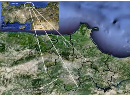 Şekil 4.1. Çalışma alanının coğrafi konumu 