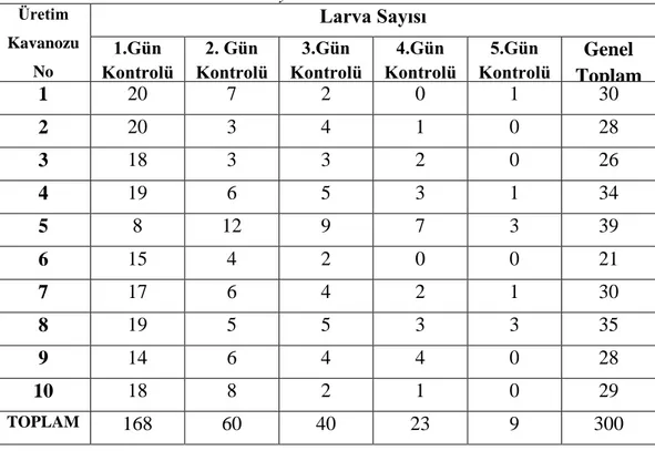 Tablo 5.1. Üretim kavanozlarındaki yırtıcıların Ips sexdentatus (Boern.) ile beslemesi                      sonucunda elde edilen larva sayısı 