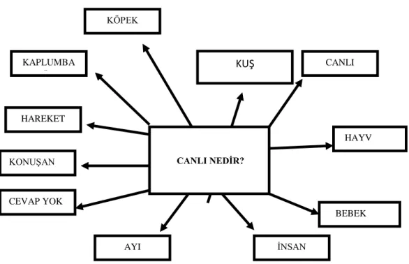 Şekil 2. Kontrol grubu ön test “Canlı Nedir?” sorusuna verdikleri yanıtlar 