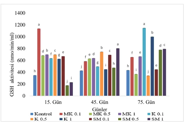 Grafik 4.3.  Meyan kökü (MK), kişniş (K) ve sinameki (SM) sulu metanol özütü ile 75 gün  boyunca  beslenen  gökkuşağı  alabalıklarının  glutatyon  aktivitelerinde  (GSH)  meydana gelen değişimler (nmo/min/ml)