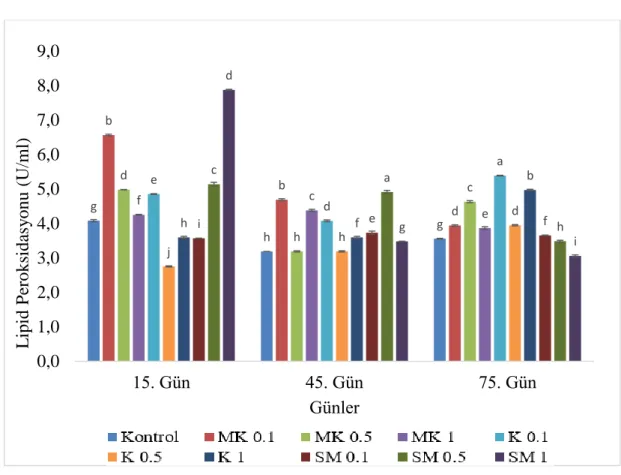 Grafik 4.5.  Meyan kökü (MK), kişniş (K) ve sinameki (SM) sulu metanol özütü ile 75 gün 