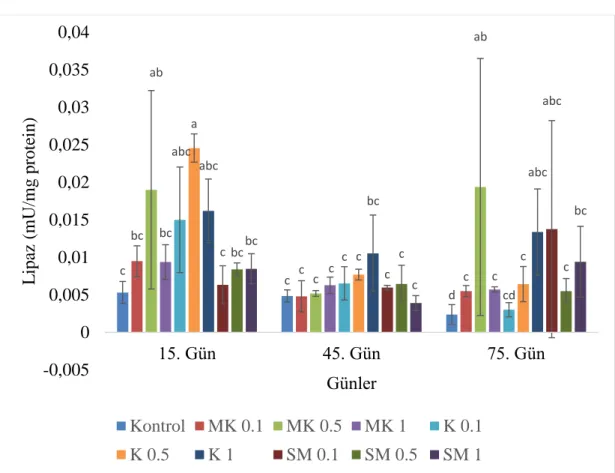 Grafik 4.7.  Meyan kökü (MK), kişniş (K) ve sinameki (SM) sulu metanol özütü ile 75 gün 