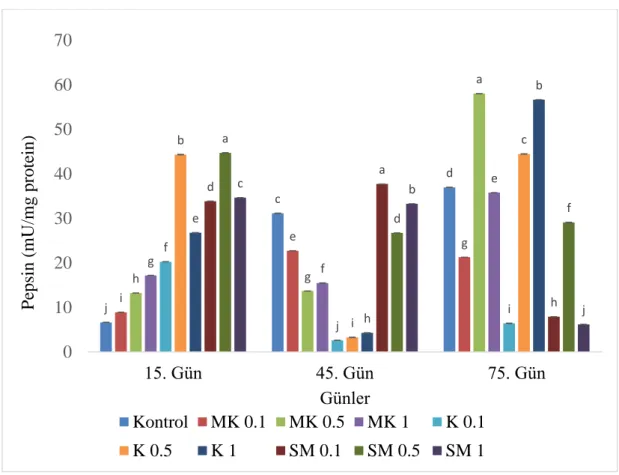 Grafik 4.8.  Meyan kökü (MK), kişniş (K) ve sinameki (SM) sulu metanol özütü ile 75 gün 
