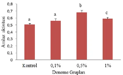 Grafik  4.4.  Pistacia terebinthus  özütü  takviyeli  yem  ile  beslenen  alabalıkların  amilaz  aktivitelerinde meydana gelen değişimler