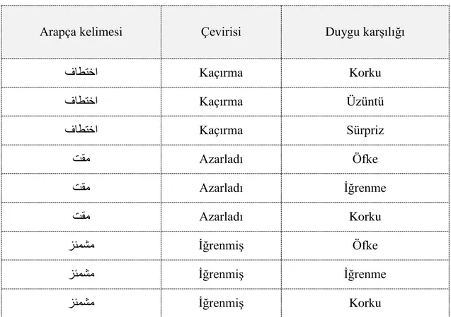 Tablo 5.1. Bazı kelimelerin örnekleri ve duyguları 