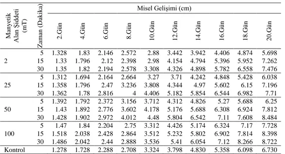 Tablo 4.3. Manyetik alan ve uygulama sürelerinin Pleurotus citrinopileatus gelişimi üzerine    