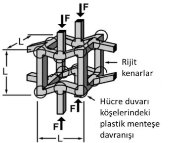 Şekil 3.3. Basma yükü altında hücre duvarı ve hücre duvarı köşelerdeki çökmeler (Gibson ve  Ashby 1997)