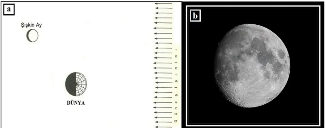 Şekil 2.4. Büyüyen Şişkin Ay Evresi Diyagramı (a) ve Dünya'dan Bakan Bir  Gözlemcinin Gözünden Büyüyen Şişkin Ay Evresi (b) 