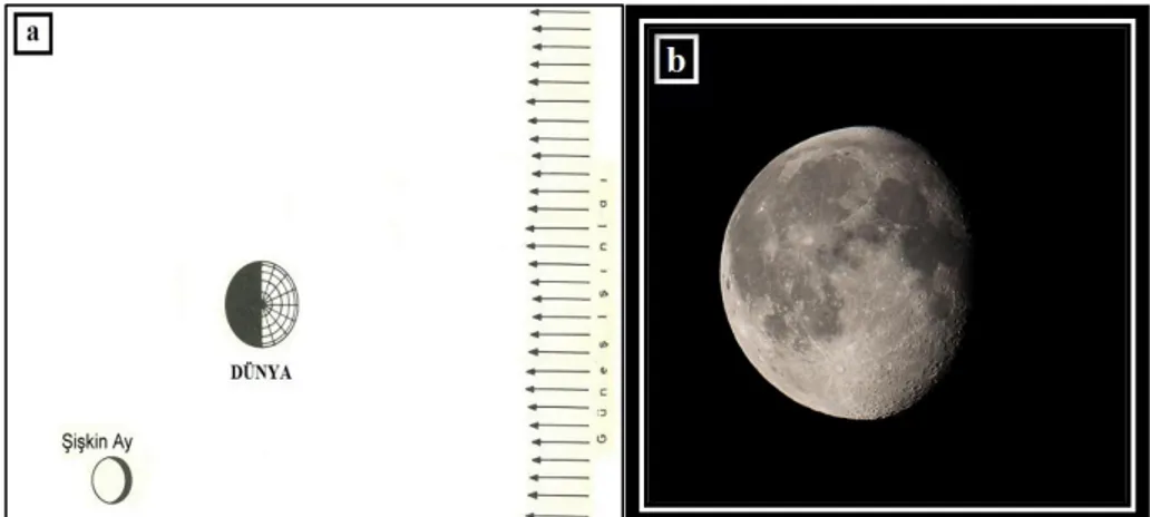Şekil 2.6. Küçülen Şişkin Ay Evresi Diyagramı (a) ve Dünya'dan Bakan Bir  Gözlemcinin Gözünden Küçülen Şişkin Ay Evresi (b) 