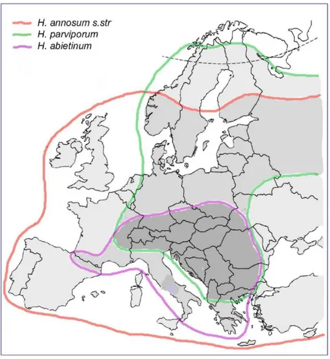 Şekil 2.3. H. annosum s.l. türlerinin Avrupa’daki yayılışı (Korhonen ve Dai, 2004’den  yeniden düzenlenmiştir.) 